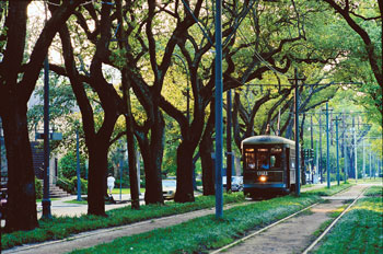 Sustainability in New Orleans: Natural Home Visits the Big Easy Image